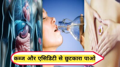 3 करोड़ सब्सक्राइबर सिल्वर गोल्ड डायमंड युटुब प्ले बटन, हल्द्वानी के छोटे शहर वाला लड़का बना भारत का नंबर 1Vloggger सौरभ जोशी की पढ़े लाइफ स्टोरी, SOURAV JOSHI BIOGRAPHY 2 क्या अधिक पानी की मात्रा पीने से कब्ज और एसिडिटी से छुटकारा पा सकते हैं? जाने इसके पीछे की सच्चाई