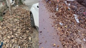 greater noida news taza khabar