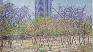 green belt greater noida local news