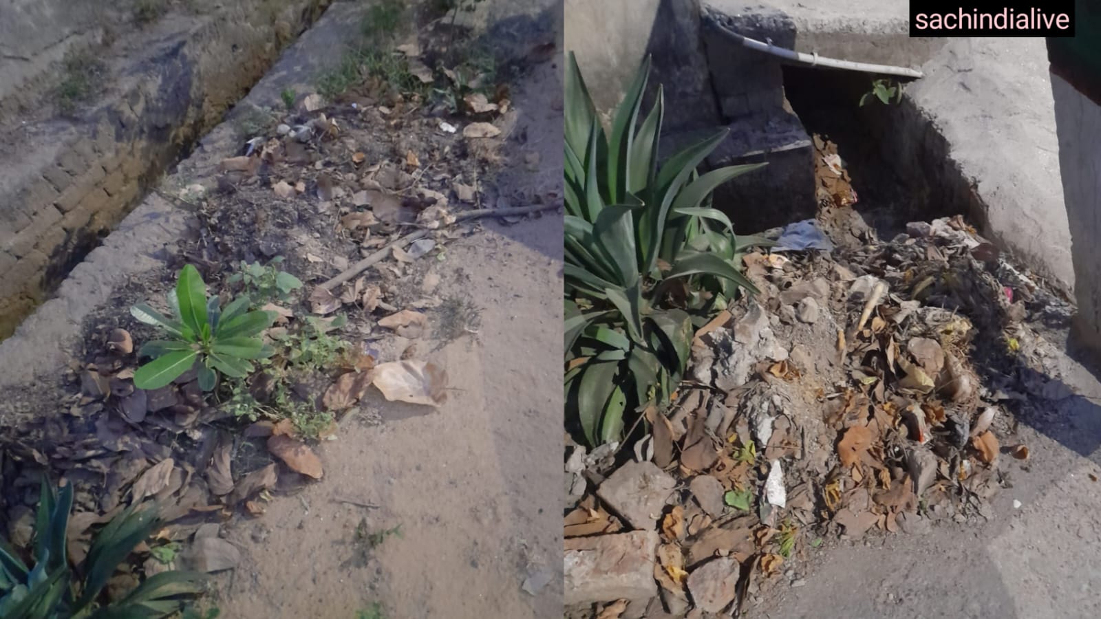 noida authority news